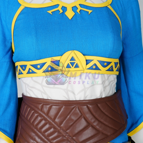 Zelda Breath of the Wild Zelda Cosplay Costume