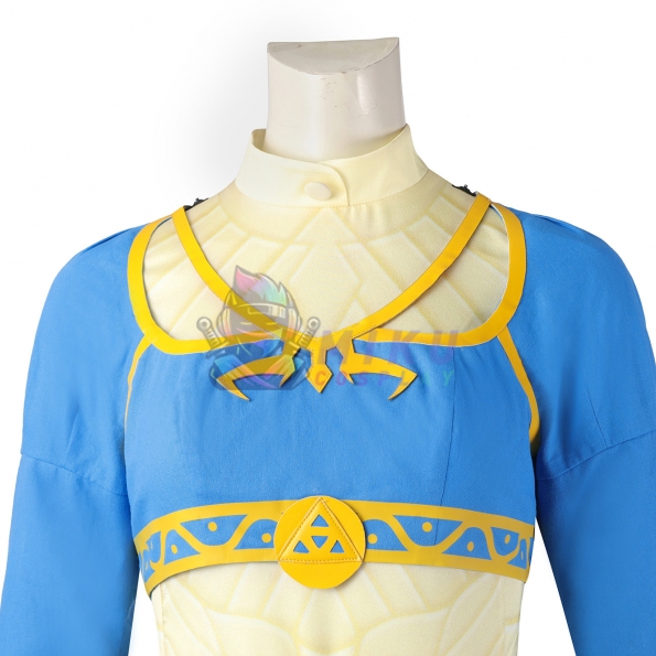 Zelda: Tears of the Kingdom Princess Zelda Costume