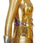Women's Wonder Woman Costume 1984 Diana Prince Cosplay Gold Armor