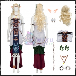 The Legend of Zelda 2 Queen Sonia Cosplay Costume
