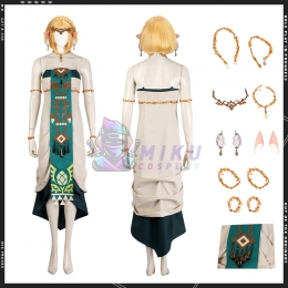 Princess Zelda The Legend of Zelda 2 Cosplay Costume