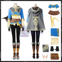 Zelda: Tears of the Kingdom Princess Zelda Costume
